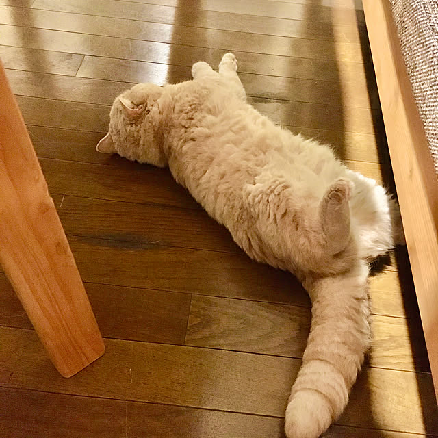 naokoさんの実例写真