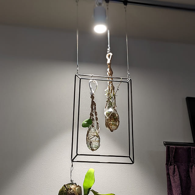 わたしのハンドメイド 冬/水差し/額縁/ディスプレイ/壁/天井のインテリア実例 - 2022-01-24 22:27:15