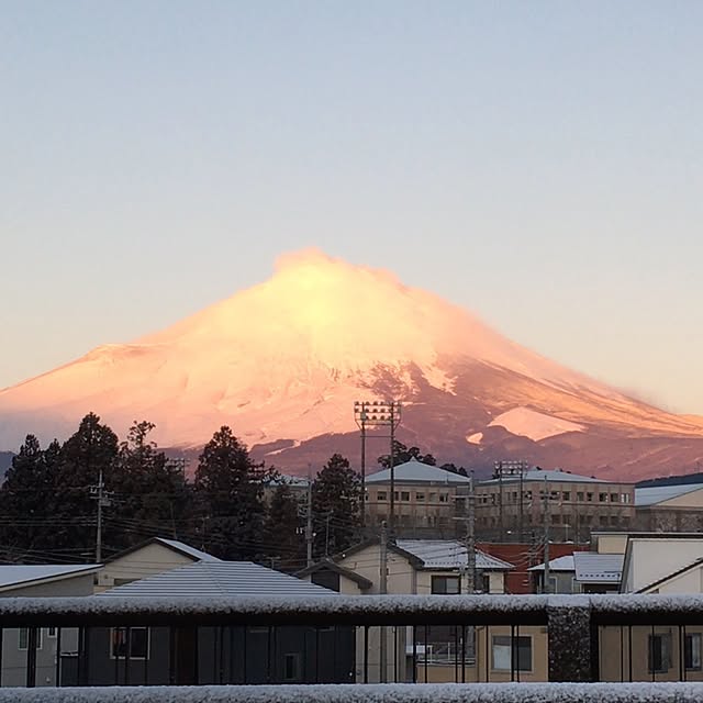 実例写真