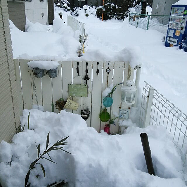 sachiさんの実例写真