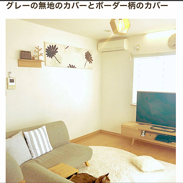 Yumiさんの実例写真