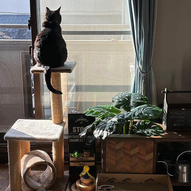 momocchiさんの部屋