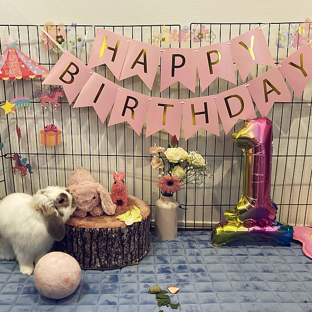 mikittyさんの実例写真