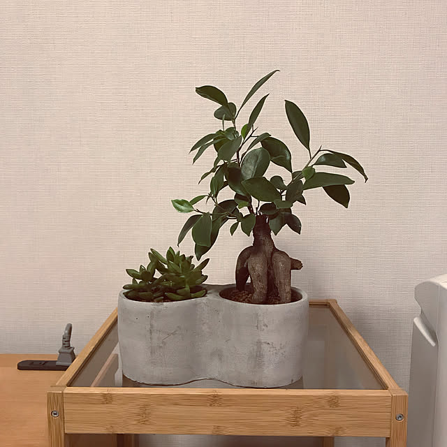arinonさんの実例写真