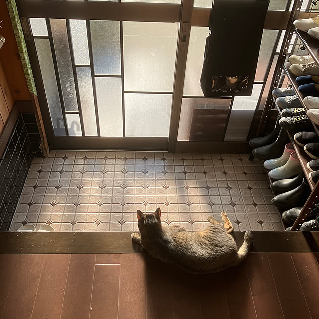 ushimarumichiさんの実例写真