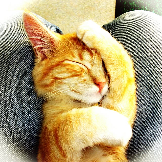 J.BOYさんの実例写真