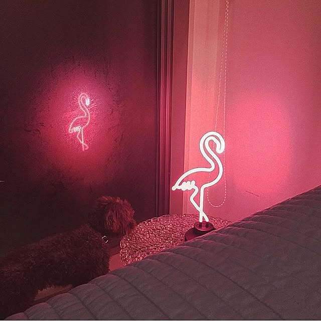 mamiさんの実例写真