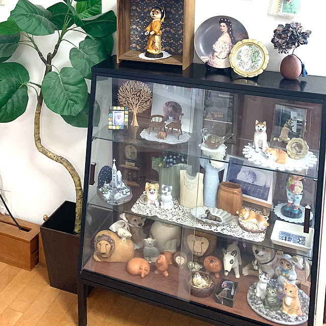 kotatsuさんの部屋