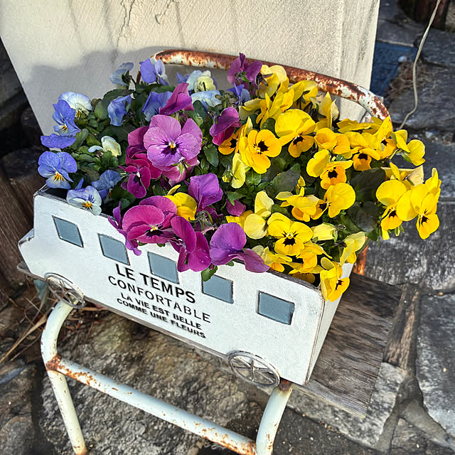 ayayayayaさんの実例写真