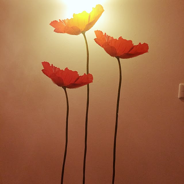 実例写真