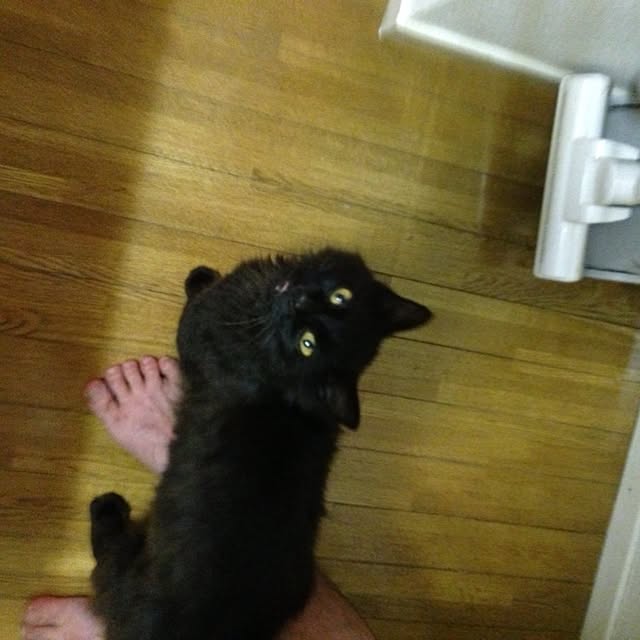 実例写真