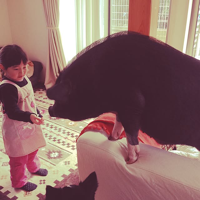 YukAさんの実例写真