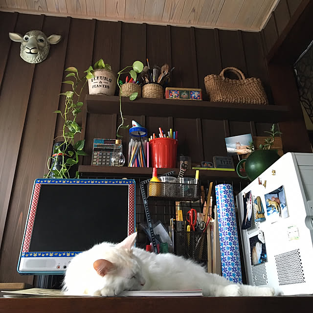 shigimiさんの実例写真