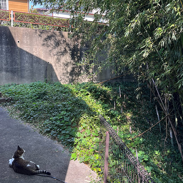jijiさんの実例写真