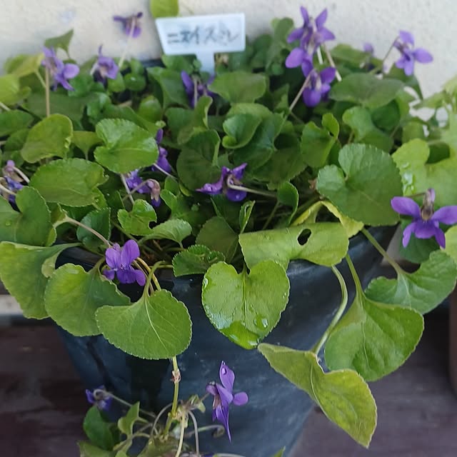 hiro.904さんの実例写真