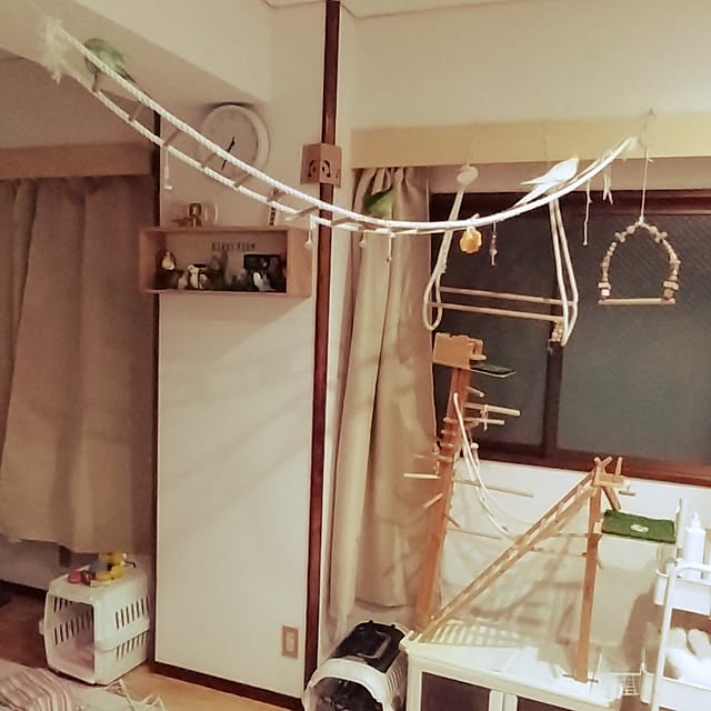 toratanさんの実例写真