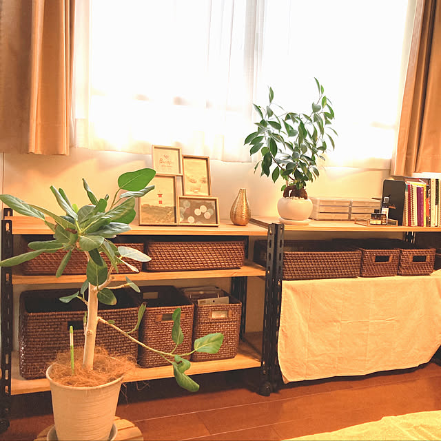 観葉植物 窓 棚のおすすめ商品とおしゃれな実例 | RoomClip 観葉植物 窓 棚のおすすめ商品とおしゃれな実例 | RoomClip
