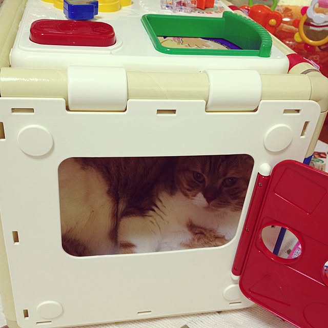 pikkariさんの実例写真