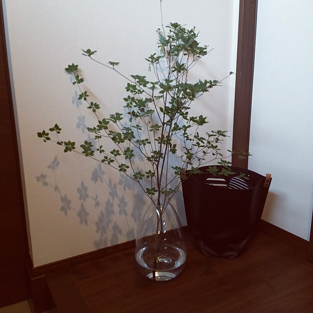 tchika0625さんの実例写真