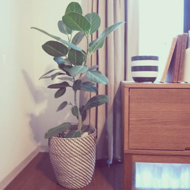 rieさんの実例写真