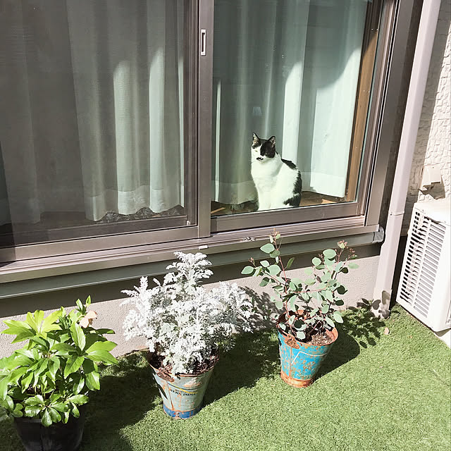 uzutamaさんの部屋