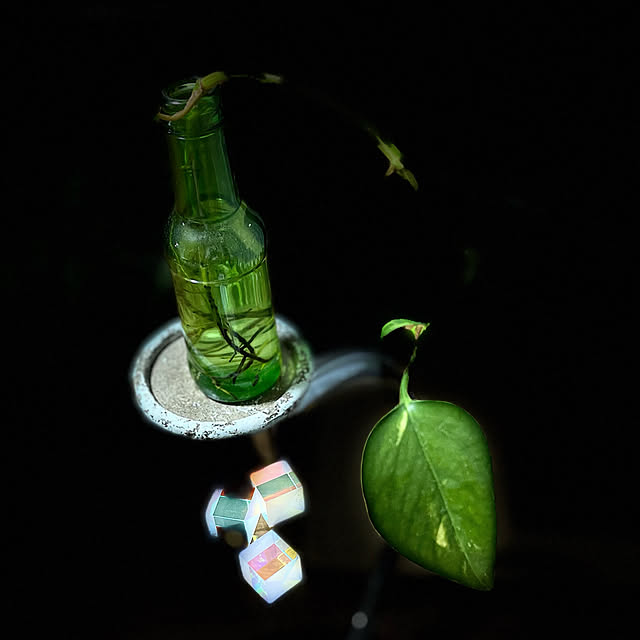 buchiさんの実例写真
