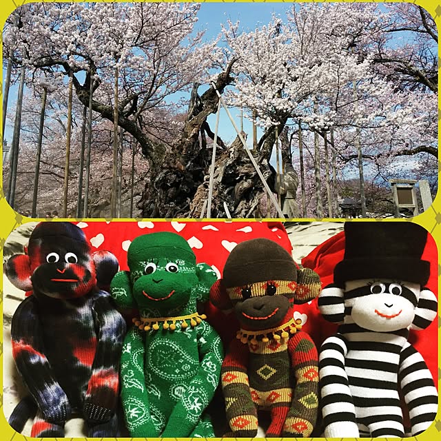 実例写真