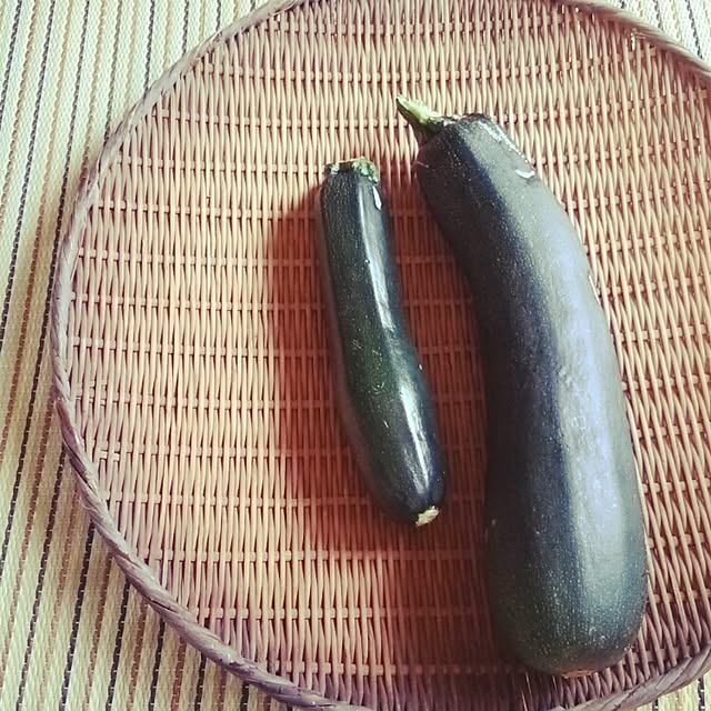 kanokomameさんの実例写真