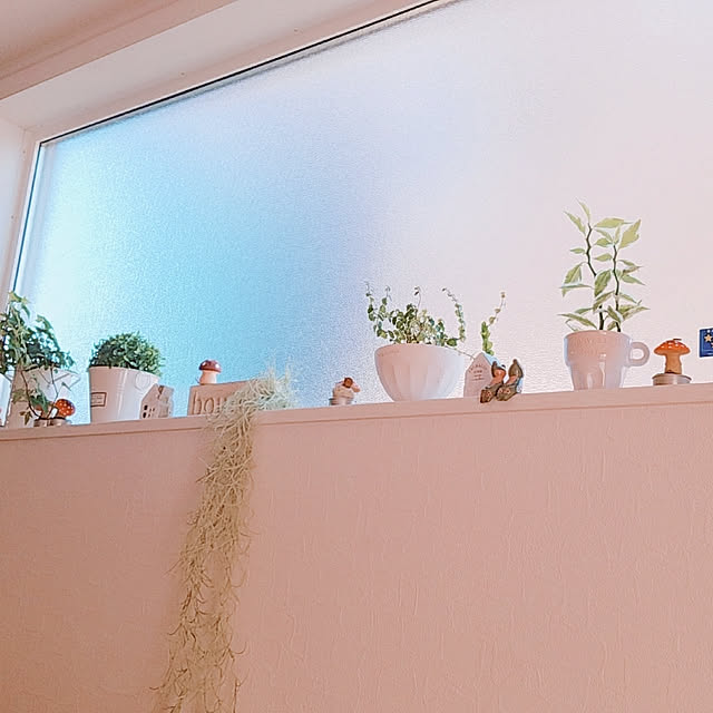 na-me-yu7730さんの実例写真