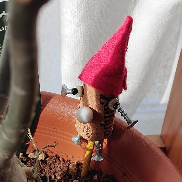 kiraさんの部屋