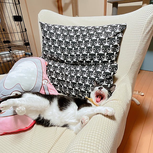 moolさんの部屋