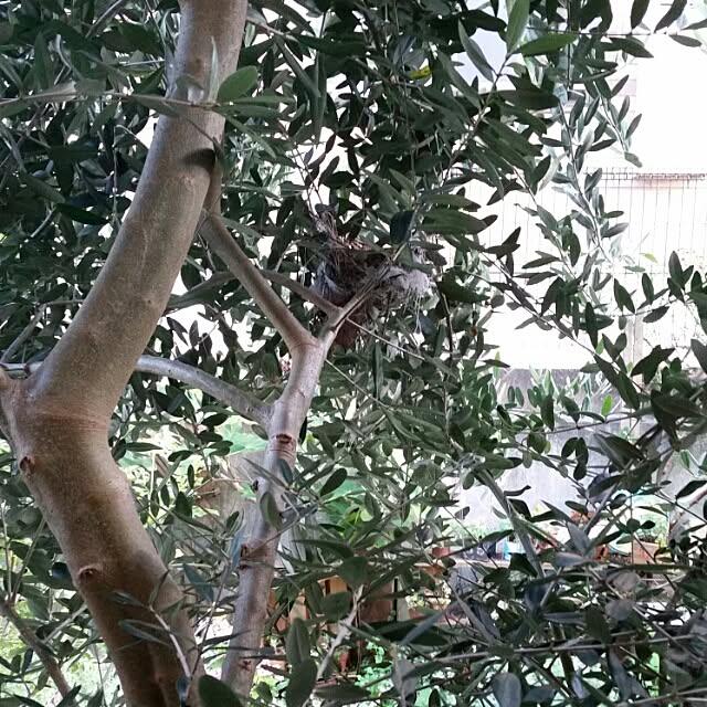 44039ponさんの実例写真