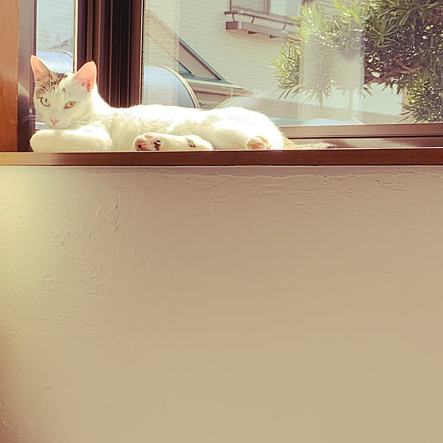 fuku-mimiさんの実例写真