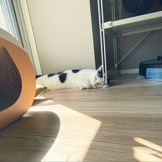 wakooさんの実例写真