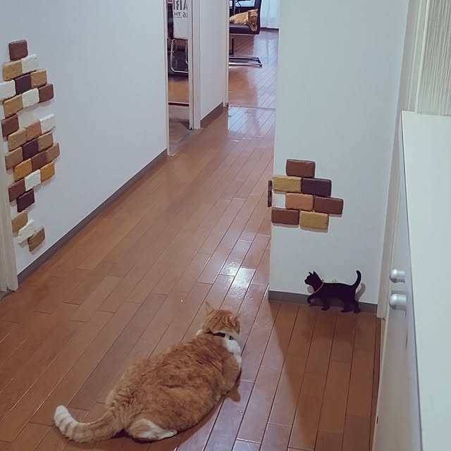 NOAHさんの部屋