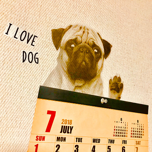 バス/トイレ/ウォールステッカー/カレンダー/Can★Do/バス/トイレではありません...などのインテリア実例 - 2018-07-20 23:32:55