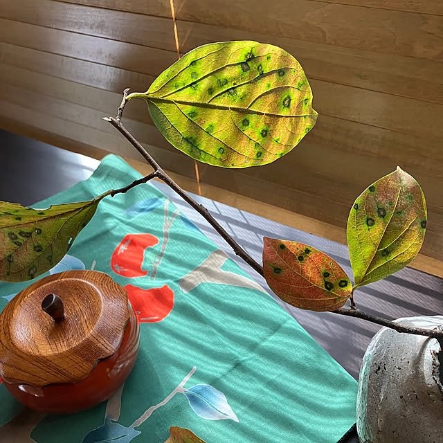 ikubooさんの部屋