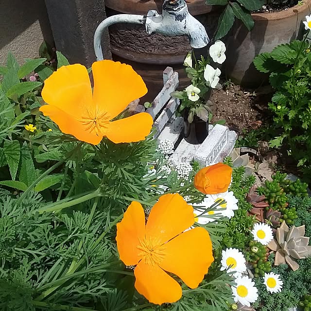 yukkoさんの実例写真