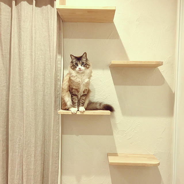 masyacanonさんの実例写真