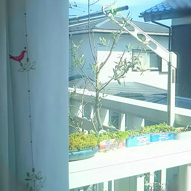 Miponappoさんの実例写真