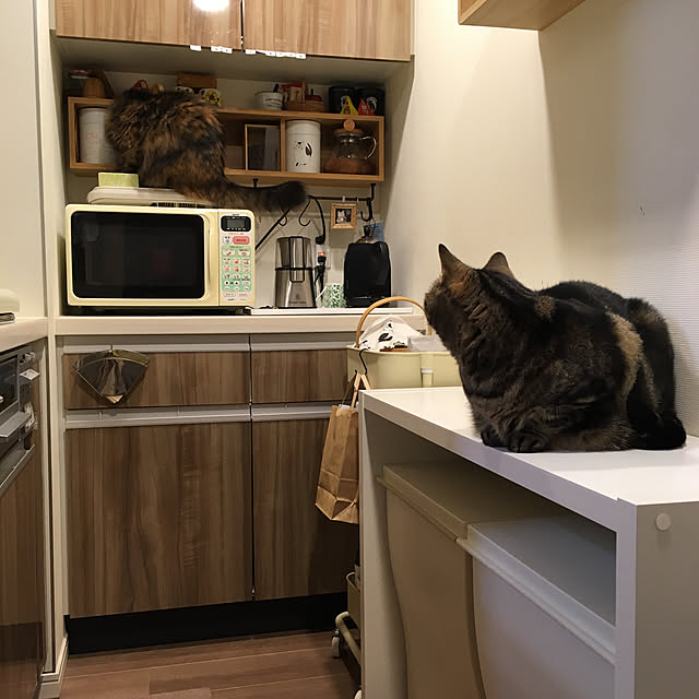 mikomaruさんの実例写真