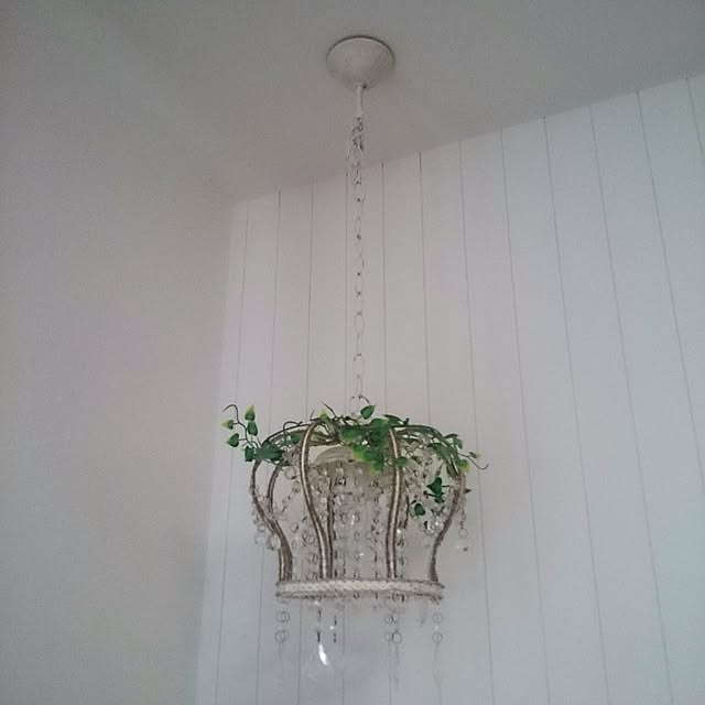 hoshiさんの実例写真