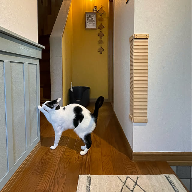 nobikoさんの実例写真