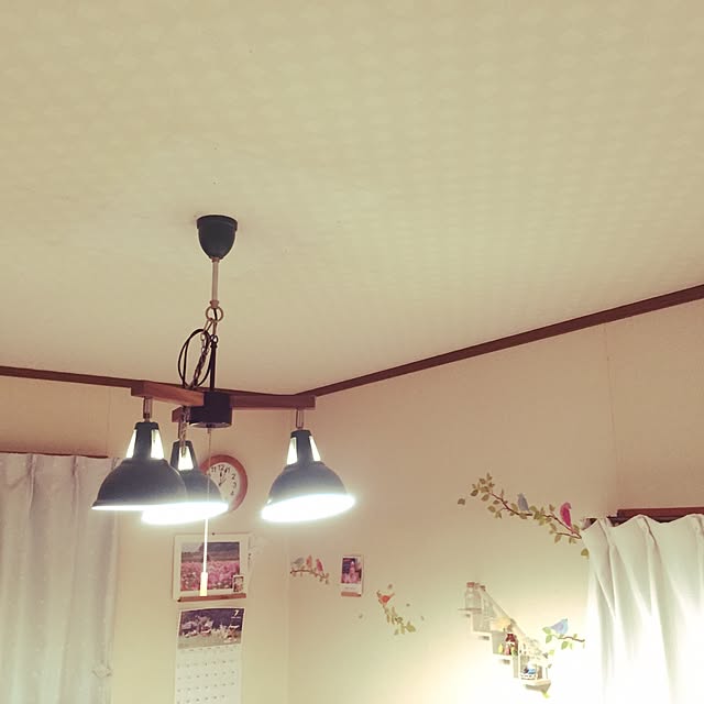 haruさんの実例写真