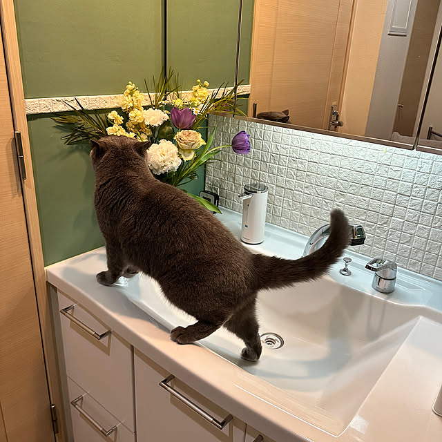 kittyさんの部屋