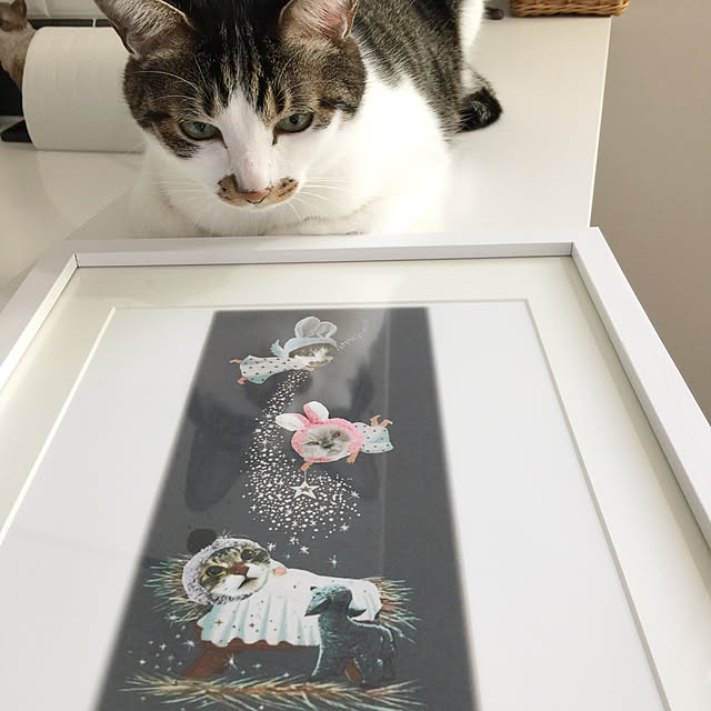 yuchiさんの実例写真