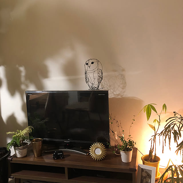 pu-nyu-pu-nyuさんの部屋