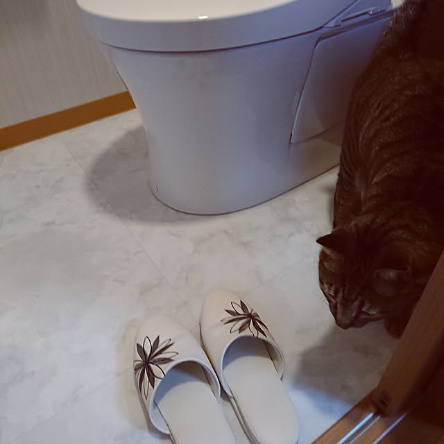 nachiさんの実例写真