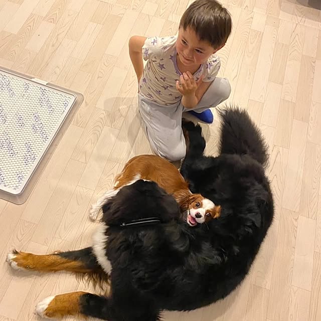 yanyon0194さんの実例写真