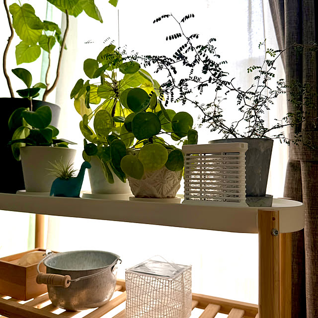 kurinokiさんの実例写真